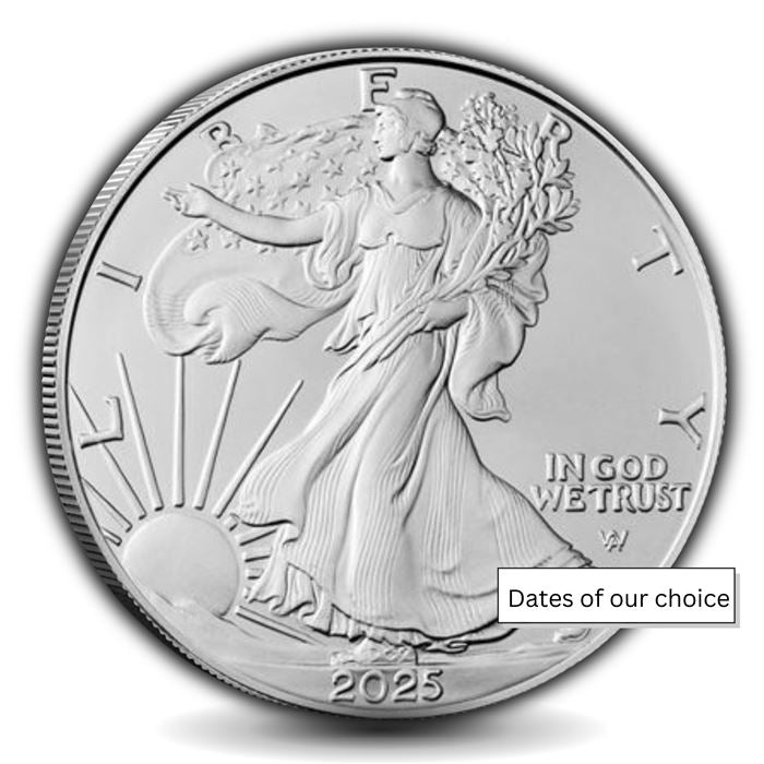american silver eagle random year